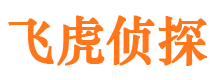 隰县市侦探公司